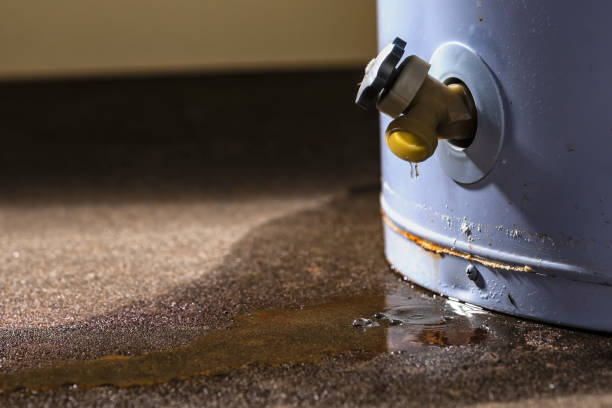 Best Water damage restoration specialists  in Milford, DE