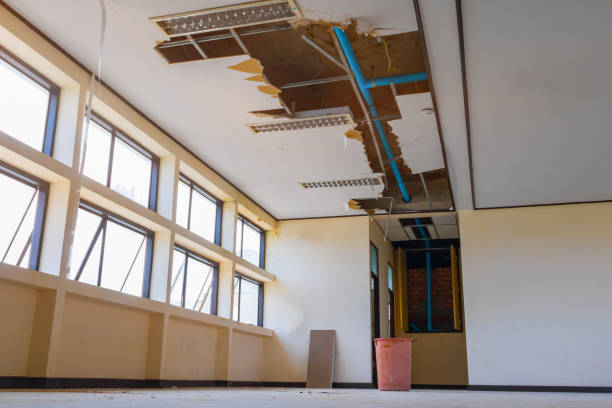 Trusted DE Water damage restoration Experts