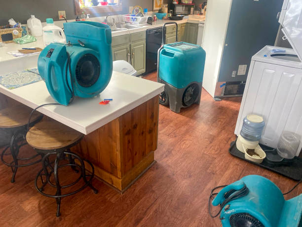 Best Sewage cleanup and water damage restoration  in Milford, DE