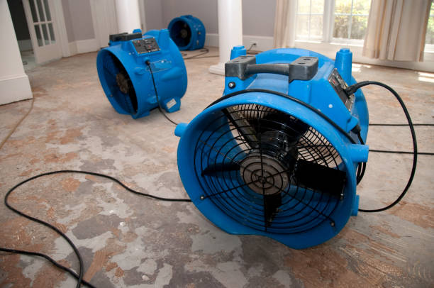 Best Water damage restoration near me  in Milford, DE