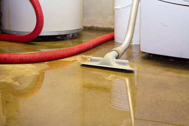 Best Local water damage restoration  in Milford, DE