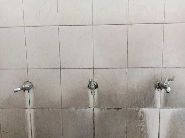  Milford, DE Water damage restoration Pros
