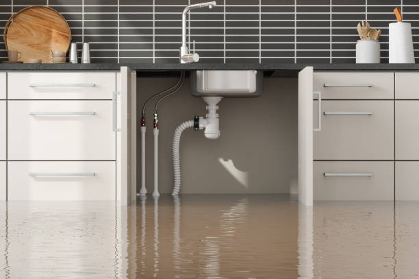 Best Water damage cleanup near me  in Milford, DE