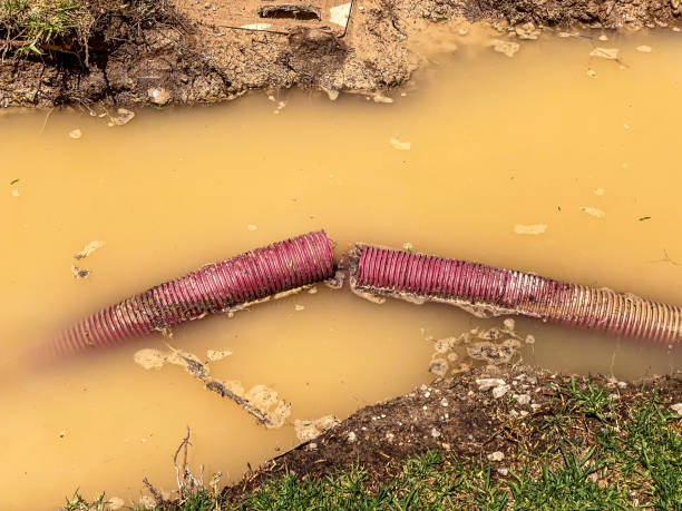 Best 24/7 water damage repair  in Milford, DE